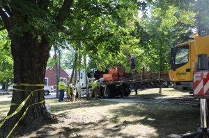 11219587_1498330643798789_8062019185011639932_n    