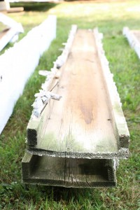 11224316_1492676294364224_780665763989300886_n     