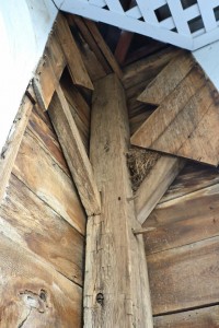 11866470_1489667927998394_23572058842584037_n     