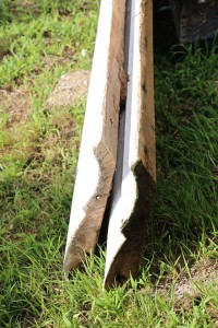 11879060_1492676194364234_8773476417795695892_o       