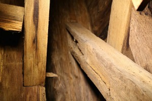 11889536_1489667787998408_3884553132530126799_n     