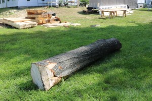 11895977_1493768160921704_3635938918300484763_n    