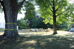 11951113_1496231144008739_8963686485187044849_n     